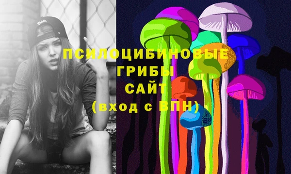 прущая мука Гусев
